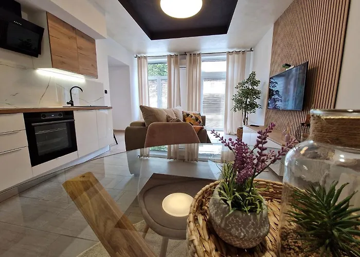 Appartamento Center Rogaska - Pubyland *