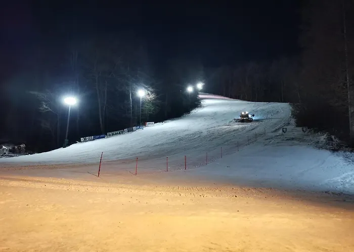 Center Rogaska - Pubyland Apartament *