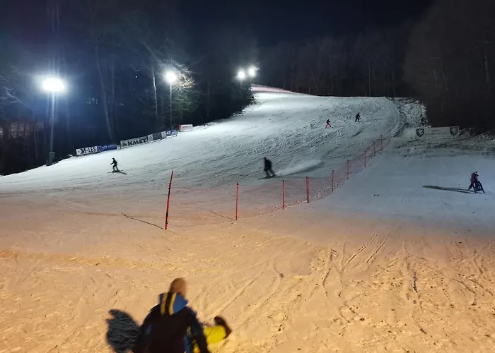 Center Rogaska - Pubyland