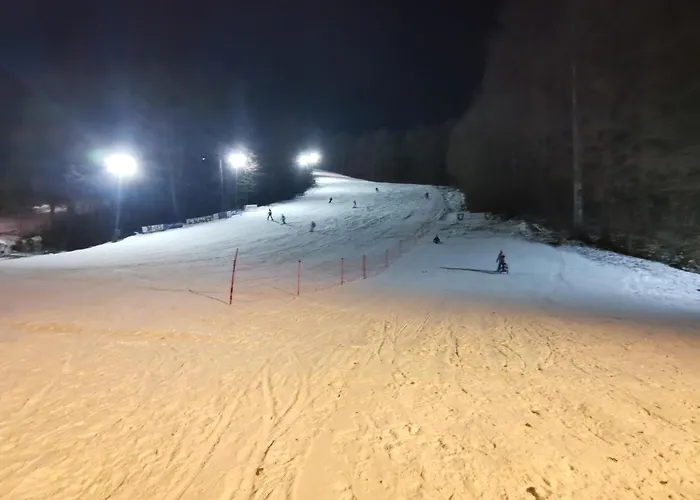 Center Rogaska - Pubyland Apartament Rogaška Slatina