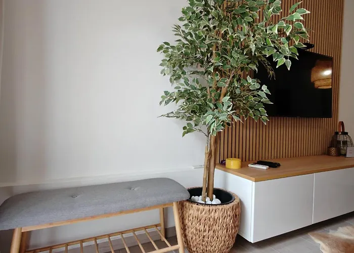 Center Rogaska - Pubyland Rogaška Slatina